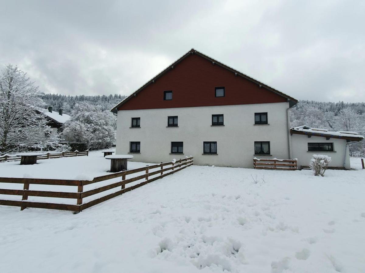Appart Le Cerf 4 étoiles 74m2 Cornimont Exterior foto
